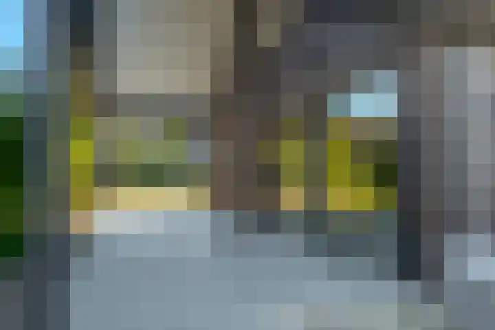 Trasmolen 11 Zwolle thumbnail 11