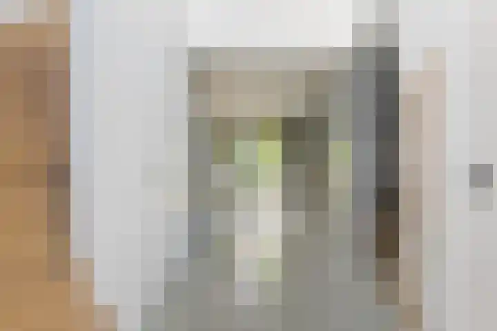 Trasmolen 11 Zwolle thumbnail 14