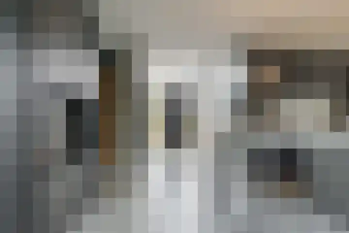 Trasmolen 11 Zwolle thumbnail 15