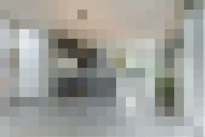 Trasmolen 11 Zwolle thumbnail 16