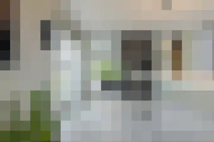 Trasmolen 11 Zwolle thumbnail 17
