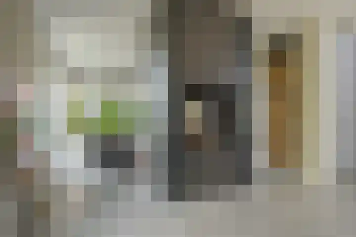 Trasmolen 11 Zwolle thumbnail 18