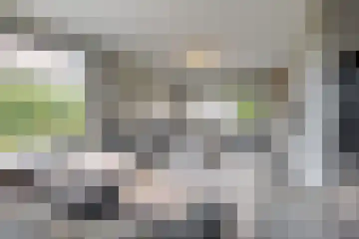 Trasmolen 11 Zwolle thumbnail 19