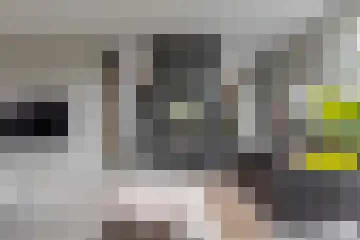 Trasmolen 11 Zwolle thumbnail 20