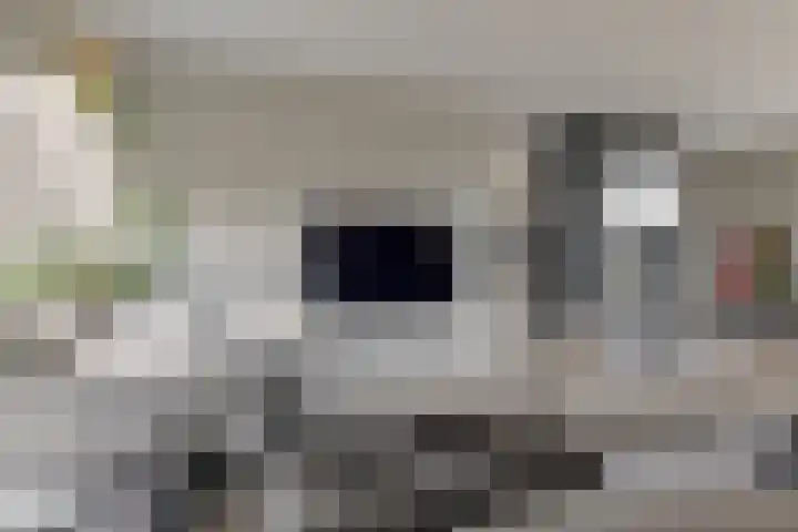 Trasmolen 11 Zwolle thumbnail 22