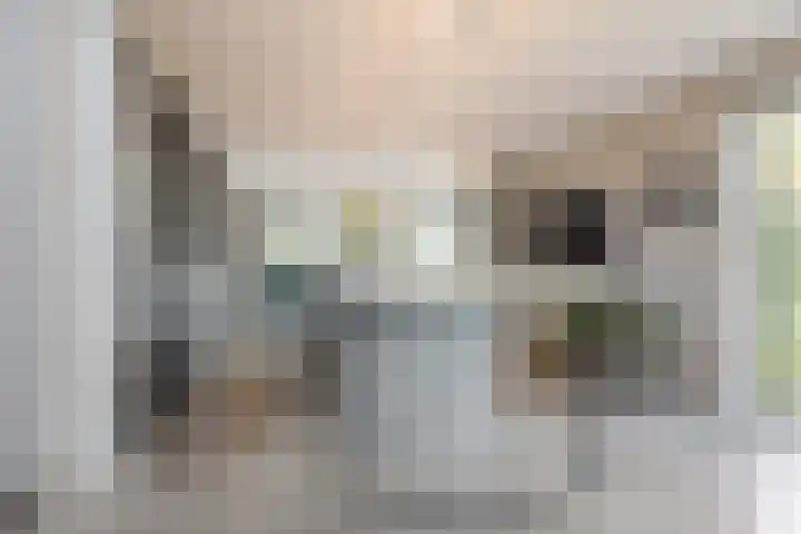 Trasmolen 11 Zwolle thumbnail 23