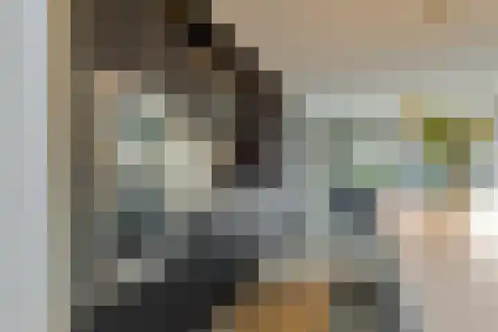 Trasmolen 11 Zwolle thumbnail 24