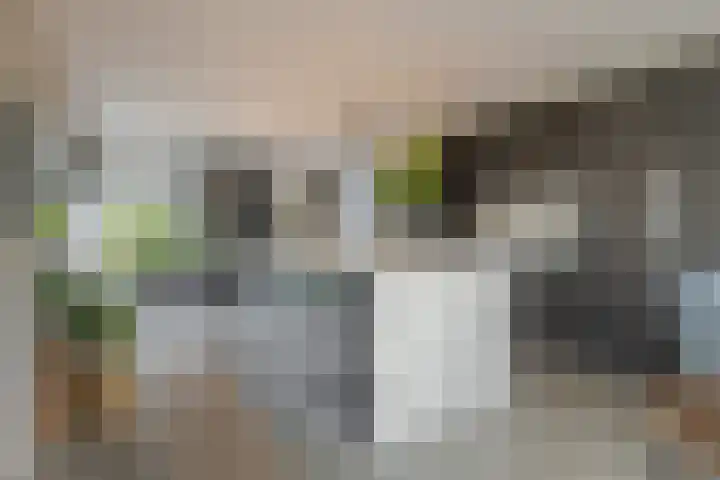 Trasmolen 11 Zwolle thumbnail 25