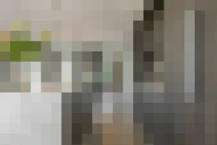 Trasmolen 11 Zwolle thumbnail 26