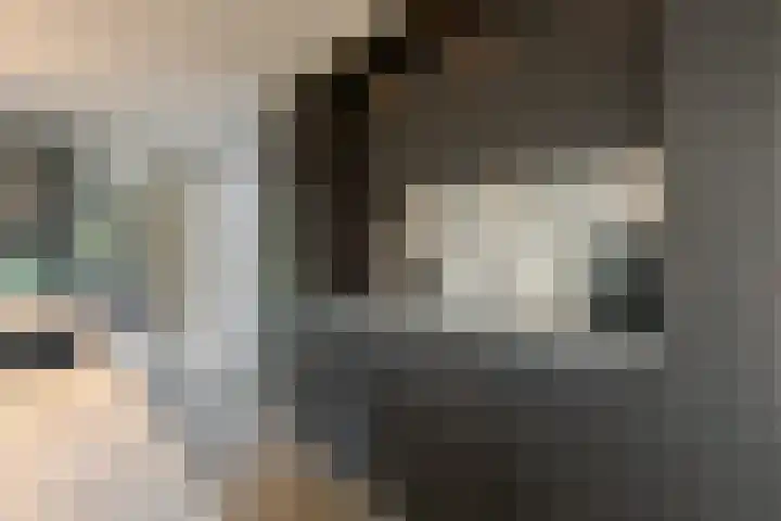 Trasmolen 11 Zwolle thumbnail 27