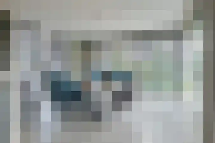 Trasmolen 11 Zwolle thumbnail 28