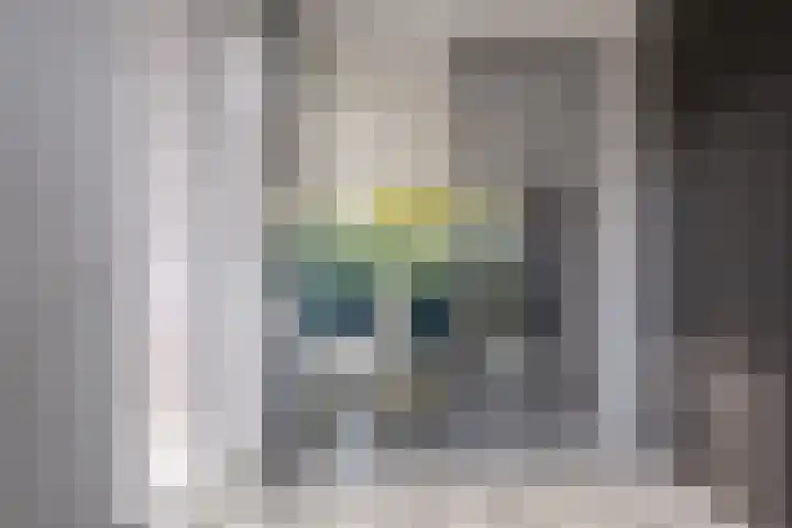 Trasmolen 11 Zwolle thumbnail 31