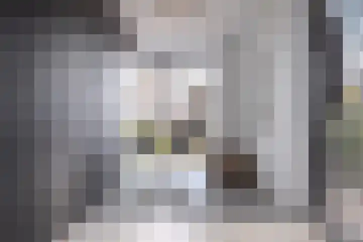 Trasmolen 11 Zwolle thumbnail 32