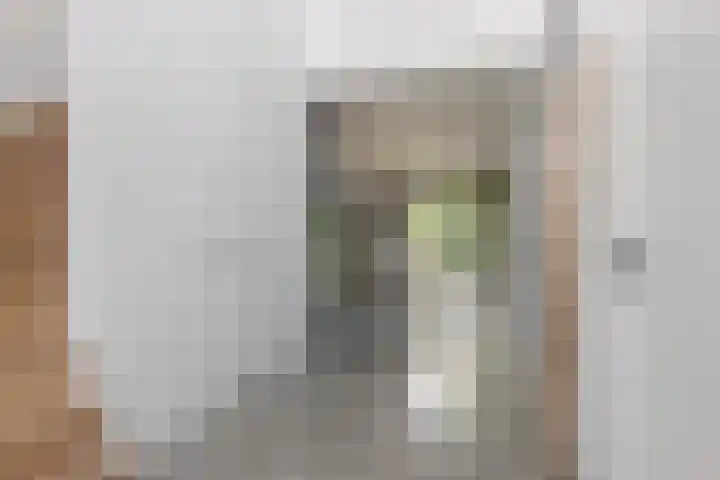 Trasmolen 11 Zwolle thumbnail 33