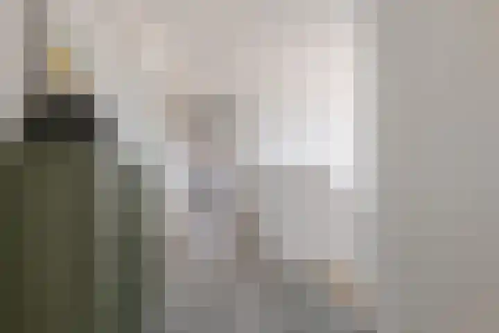 Trasmolen 11 Zwolle thumbnail 36