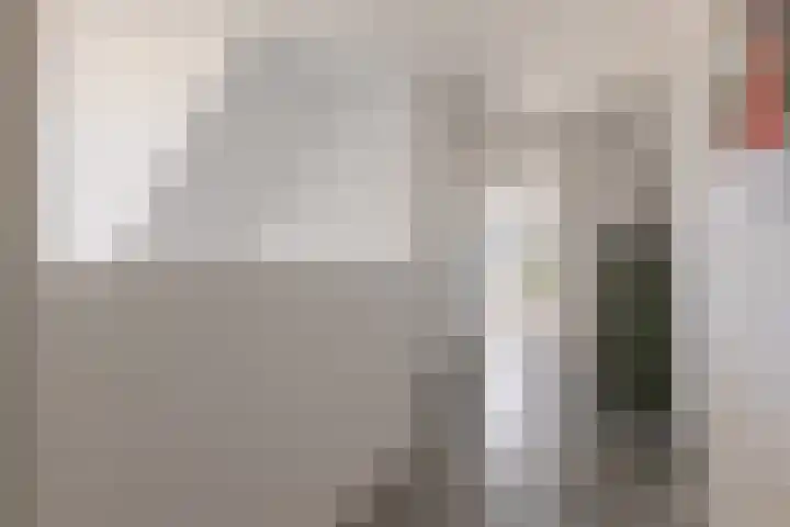 Trasmolen 11 Zwolle thumbnail 37