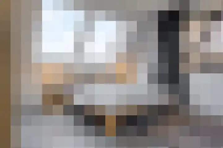 Trasmolen 11 Zwolle thumbnail 38