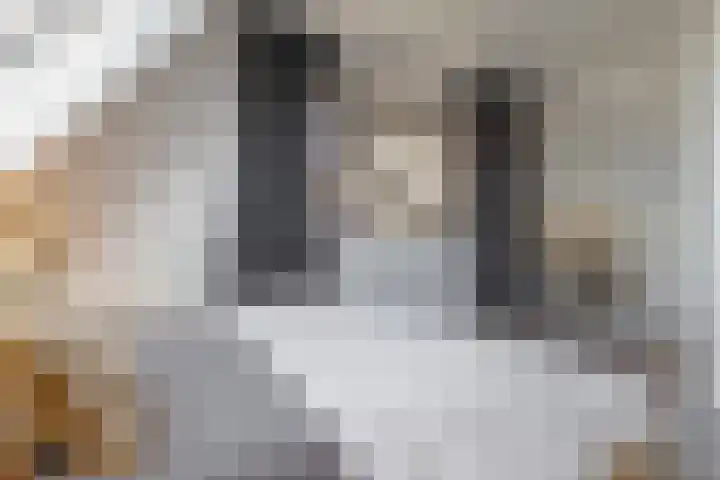 Trasmolen 11 Zwolle thumbnail 39