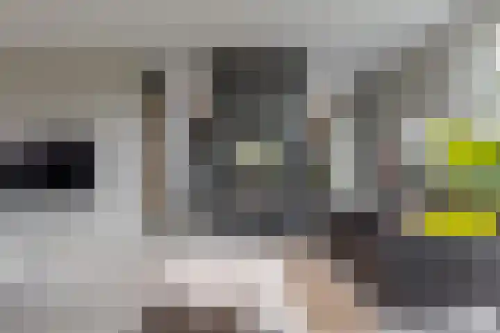 Trasmolen 11 Zwolle thumbnail 4