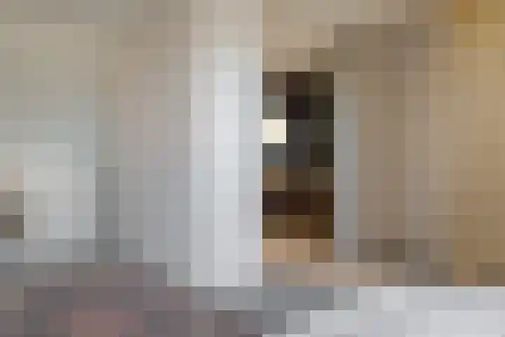 Trasmolen 11 Zwolle thumbnail 41