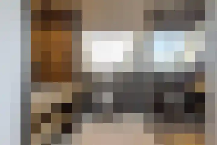 Trasmolen 11 Zwolle thumbnail 42