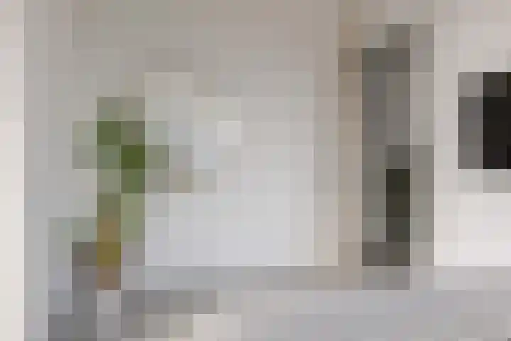 Trasmolen 11 Zwolle thumbnail 46