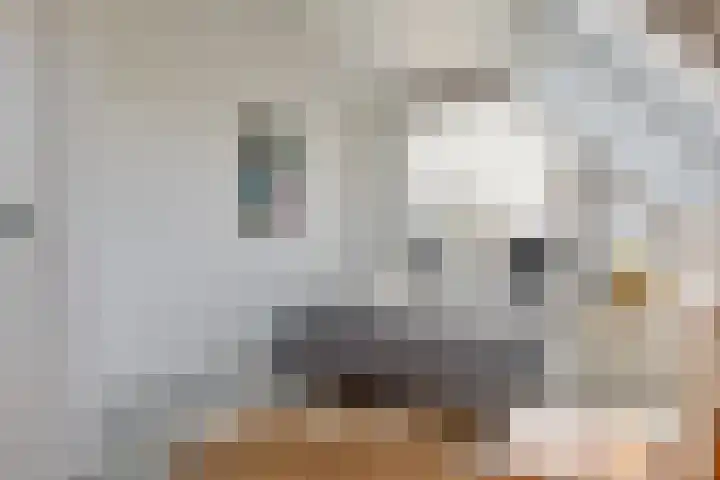 Trasmolen 11 Zwolle thumbnail 47