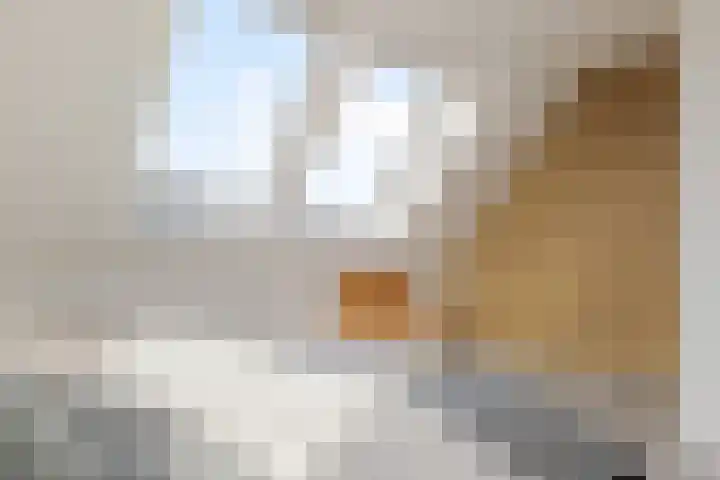Trasmolen 11 Zwolle thumbnail 48