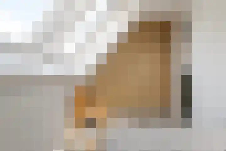 Trasmolen 11 Zwolle thumbnail 49