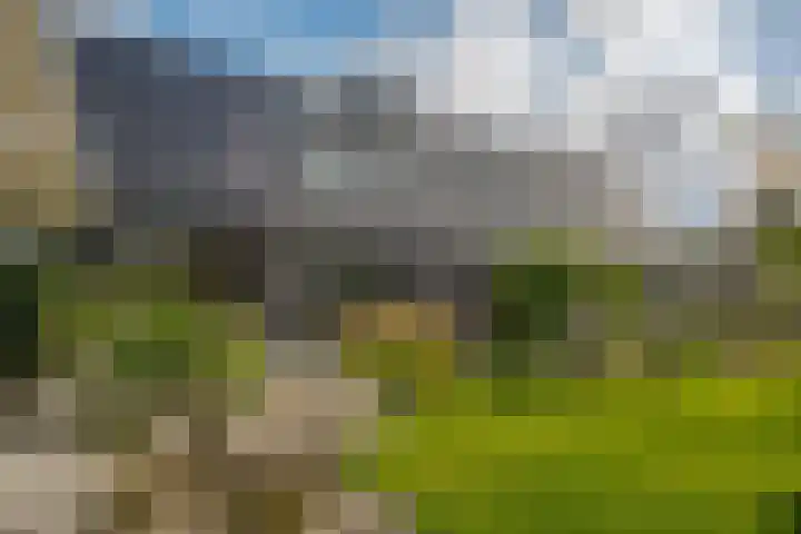 Trasmolen 11 Zwolle thumbnail 5