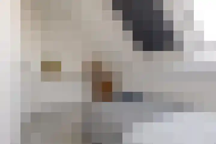 Trasmolen 11 Zwolle thumbnail 51