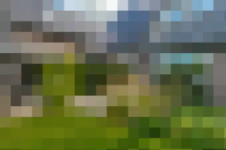 Trasmolen 11 Zwolle thumbnail 58
