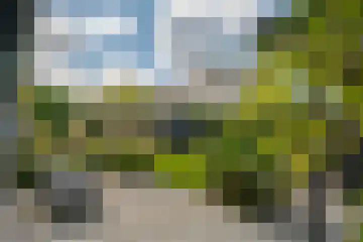 Trasmolen 11 Zwolle thumbnail 59