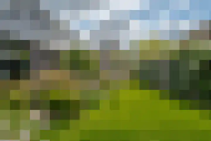 Trasmolen 11 Zwolle thumbnail 61