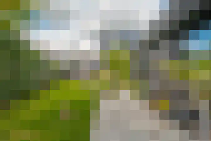 Trasmolen 11 Zwolle thumbnail 62