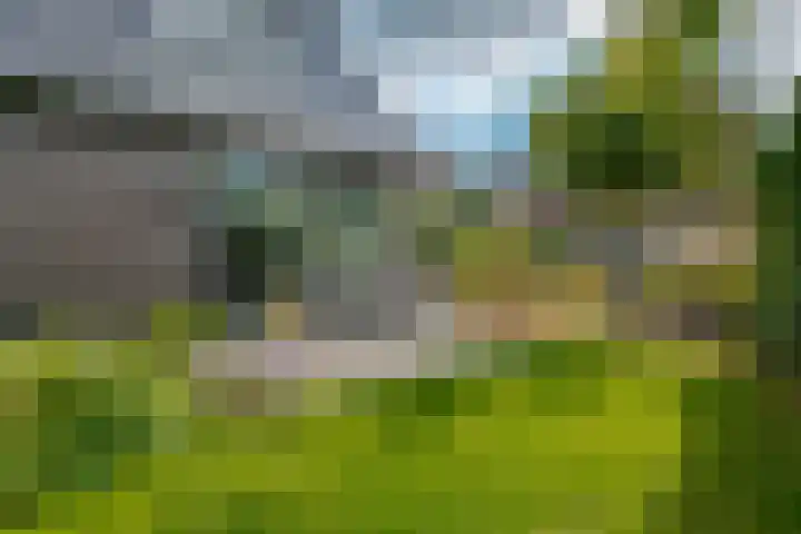 Trasmolen 11 Zwolle thumbnail 63