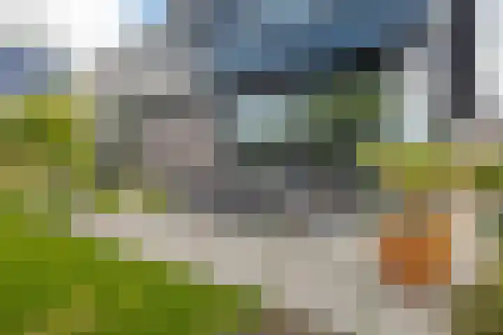 Trasmolen 11 Zwolle thumbnail 64