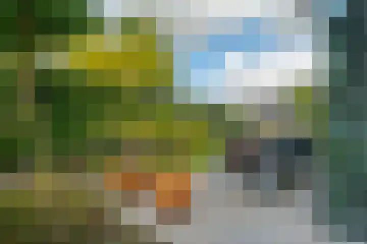 Trasmolen 11 Zwolle thumbnail 65