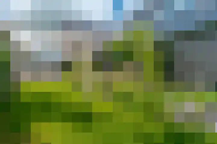 Trasmolen 11 Zwolle thumbnail 66