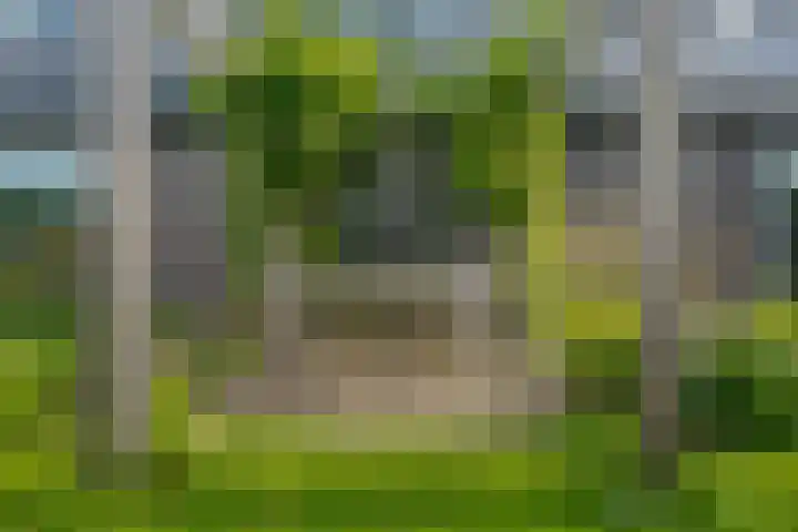 Trasmolen 11 Zwolle thumbnail 67