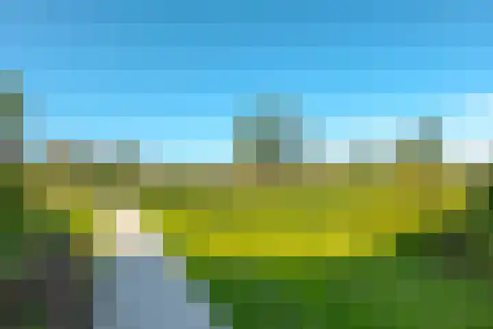 Trasmolen 11 Zwolle thumbnail 71