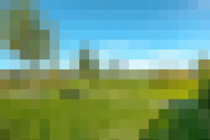 Trasmolen 11 Zwolle thumbnail 72