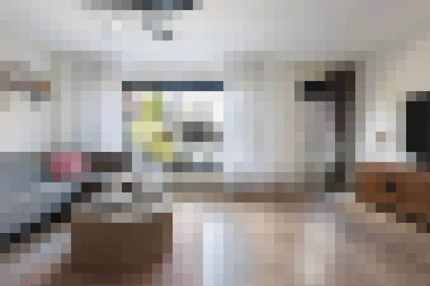 Trasmolen 13 Papendrecht thumbnail 10