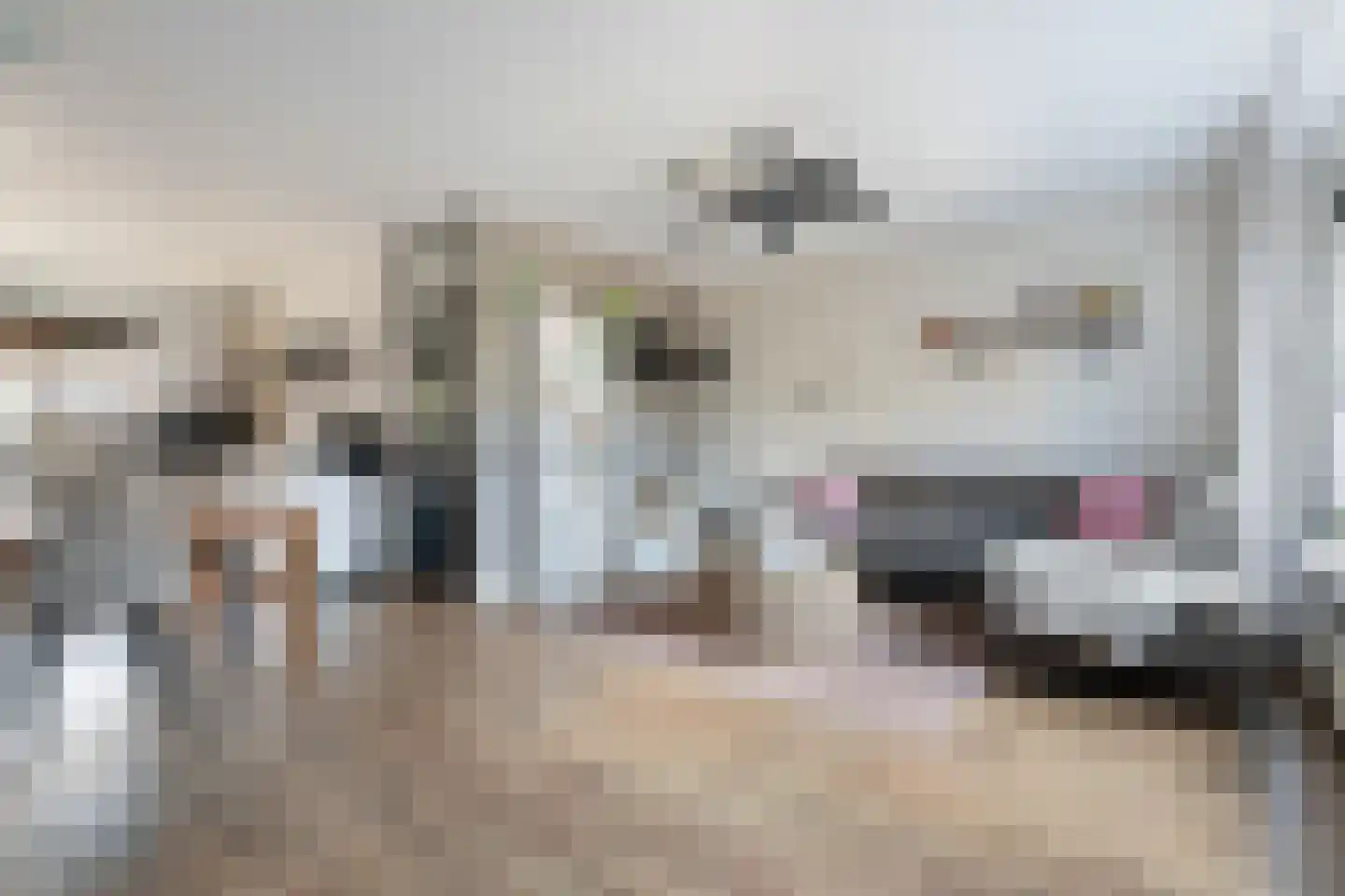 Trasmolen 13 Papendrecht thumbnail 12