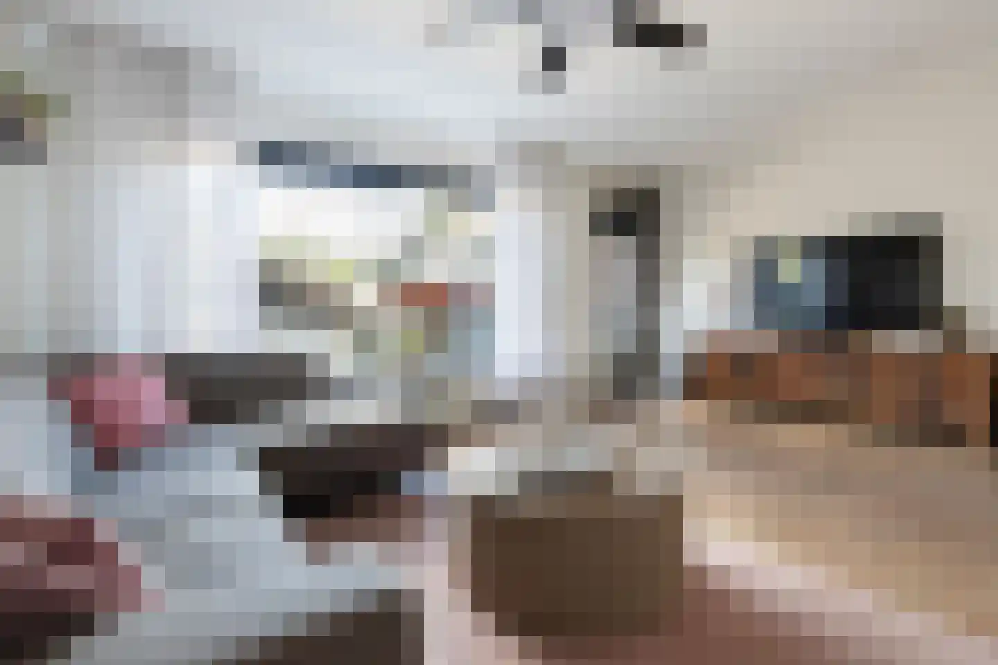Trasmolen 13 Papendrecht thumbnail 13