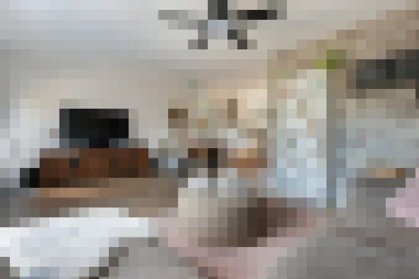 Trasmolen 13 Papendrecht thumbnail 14