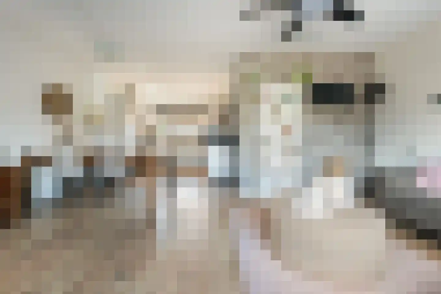 Trasmolen 13 Papendrecht thumbnail 15