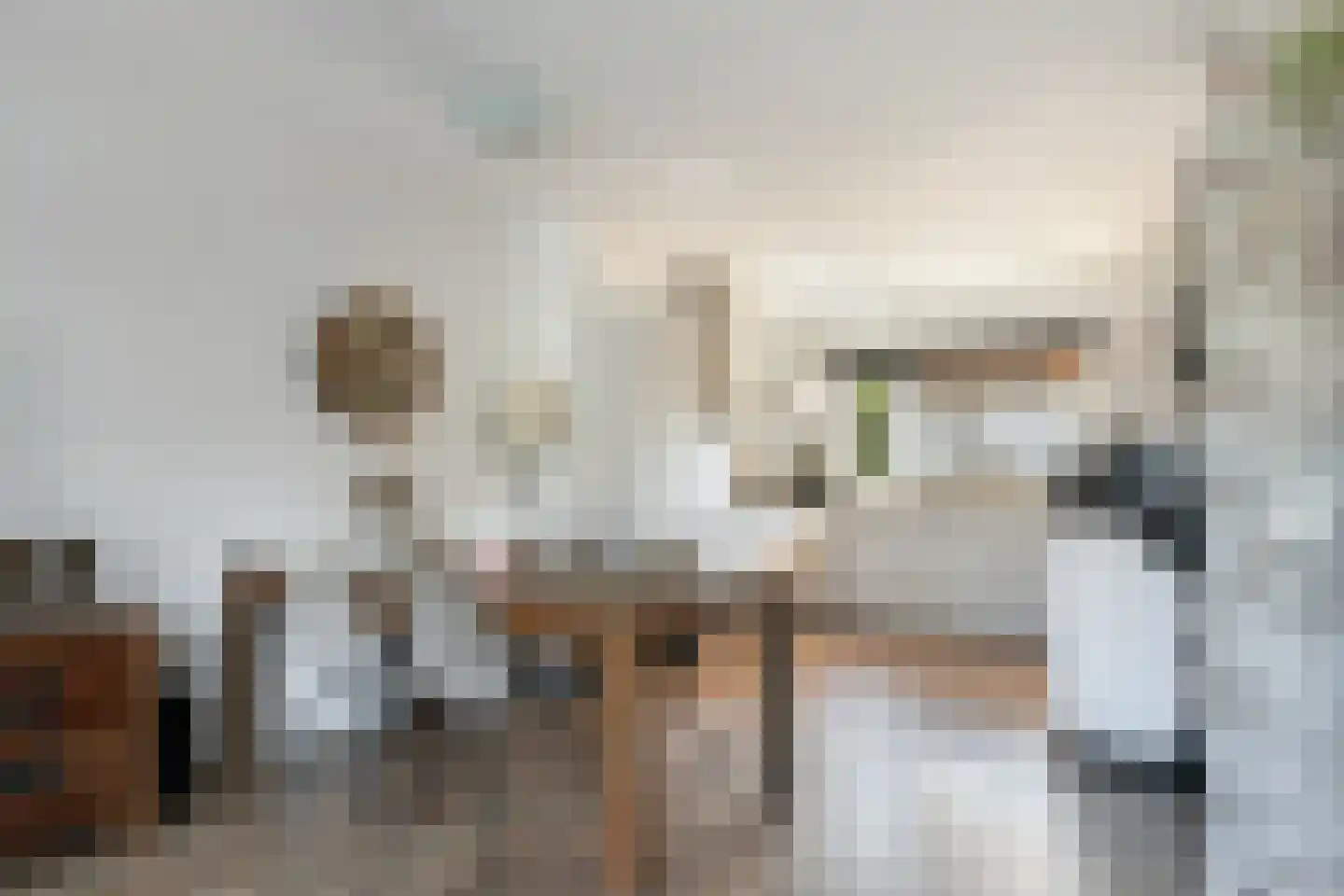 Trasmolen 13 Papendrecht thumbnail 16