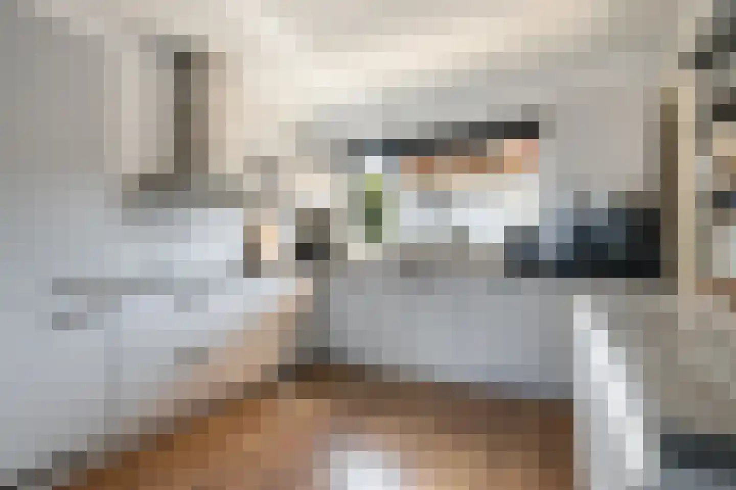 Trasmolen 13 Papendrecht thumbnail 19