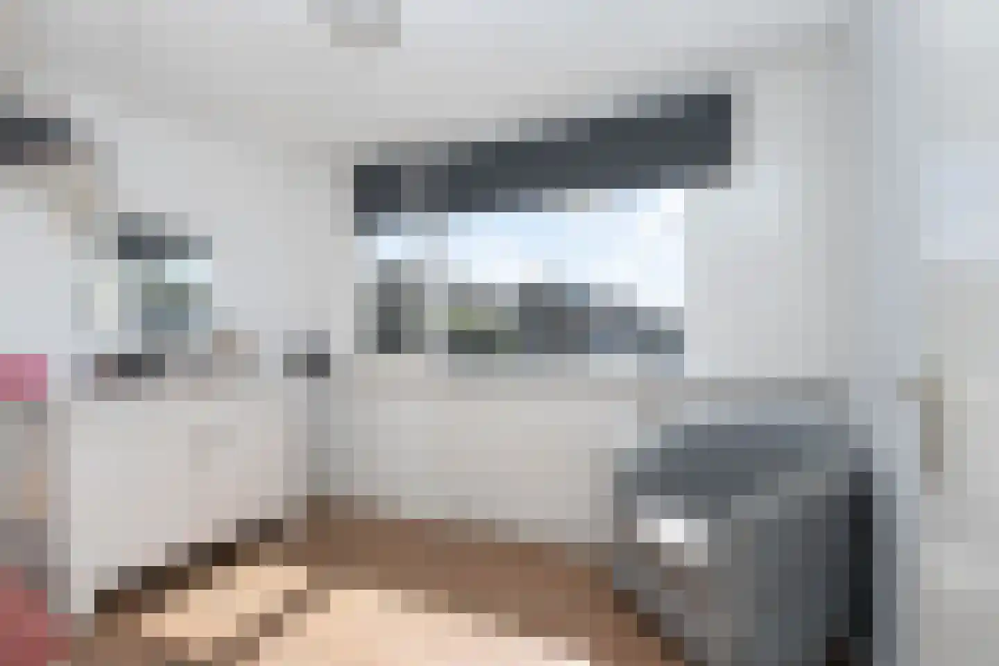 Trasmolen 13 Papendrecht thumbnail 23